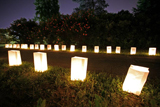  A trail of luminaries lights the way 