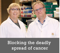 Blocking the deadly spread of cancer